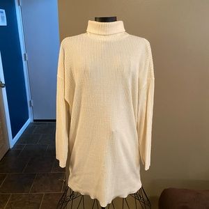 Turtle Neck Sweater Dress